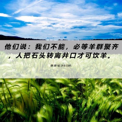 Picture 06 - 创 世 纪 29:8 CUVS - 他 们 说 ： 我 们 不 能 ， 必 等 羊 - Bible Verse Picture