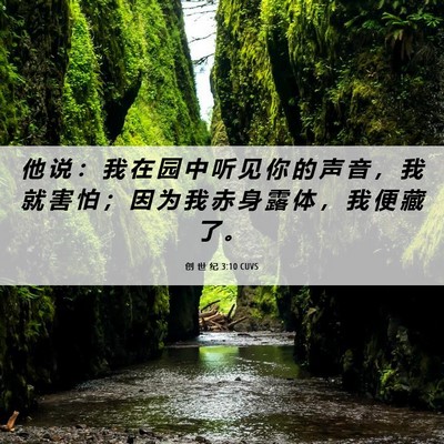 Picture 06 - 创 世 纪 3:10 CUVS - 他 说 ： 我 在 园 中 听 见 你 的 声 - Bible Verse Picture