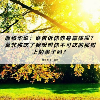 Picture 06 - 创 世 纪 3:11 CUVS - 耶 和 华 说 ： 谁 告 诉 你 赤 身 露 - Bible Verse Picture