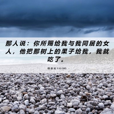 Picture 06 - 创 世 纪 3:12 CUVS - 那 人 说 ： 你 所 赐 给 我 与 我 同 - Bible Verse Picture