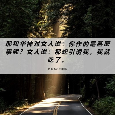 Picture 06 - 创 世 纪 3:13 CUVS - 耶 和 华 神 对 女 人 说 ： 你 作 的 - Bible Verse Picture