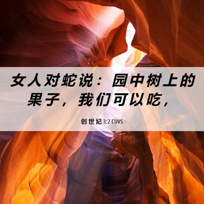 Picture 06 - 创 世 纪 3:2 CUVS - 女 人 对 蛇 说 ： 园 中 树 上 的 果 - Bible Verse Picture
