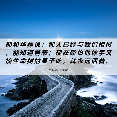 Picture 06 - 创 世 纪 3:22 CUVS - 耶 和 华 神 说 ： 那 人 已 经 与 我 - Bible Verse Picture