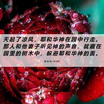 Picture 06 - 创 世 纪 3:8 CUVS - 天 起 了 凉 风 ， 耶 和 华 神 在 园 - Bible Verse Picture