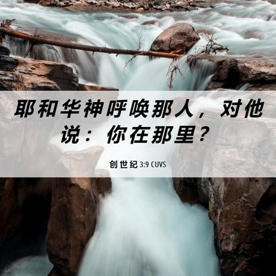 Picture 06 - 创 世 纪 3:9 CUVS - 耶 和 华 神 呼 唤 那 人 ， 对 他 说 - Bible Verse Picture