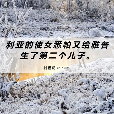 Picture 06 - 创 世 纪 30:12 CUVS - 利 亚 的 使 女 悉 帕 又 给 雅 各 生 - Bible Verse Picture