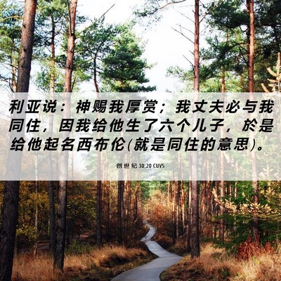 Picture 06 - 创 世 纪 30:20 CUVS - 利 亚 说 ： 神 赐 我 厚 赏 ； 我 丈 - Bible Verse Picture