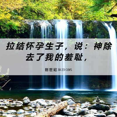 Picture 06 - 创 世 纪 30:23 CUVS - 拉 结 怀 孕 生 子 ， 说 ： 神 除 去 - Bible Verse Picture