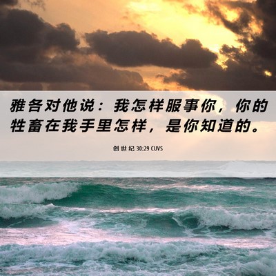 Picture 06 - 创 世 纪 30:29 CUVS - 雅 各 对 他 说 ： 我 怎 样 服 事 你 - Bible Verse Picture