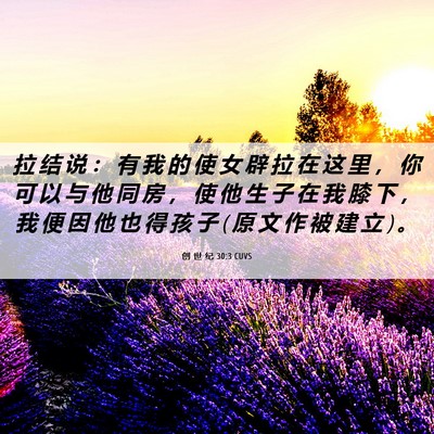 Picture 06 - 创 世 纪 30:3 CUVS - 拉 结 说 ： 有 我 的 使 女 辟 拉 在 - Bible Verse Picture