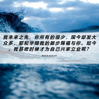 Picture 06 - 创 世 纪 30:30 CUVS - 我 未 来 之 先 ， 你 所 有 的 很 少 - Bible Verse Picture