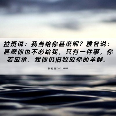 Picture 06 - 创 世 纪 30:31 CUVS - 拉 班 说 ： 我 当 给 你 甚 麽 呢 ？ - Bible Verse Picture