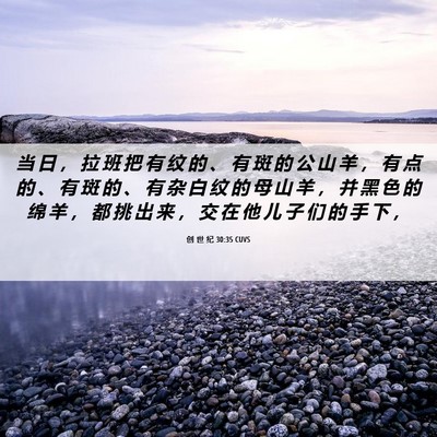 Picture 06 - 创 世 纪 30:35 CUVS - 当 日 ， 拉 班 把 有 纹 的 、 有 斑 - Bible Verse Picture