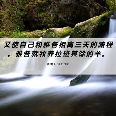 Picture 06 - 创 世 纪 30:36 CUVS - 又 使 自 己 和 雅 各 相 离 三 天 的 - Bible Verse Picture