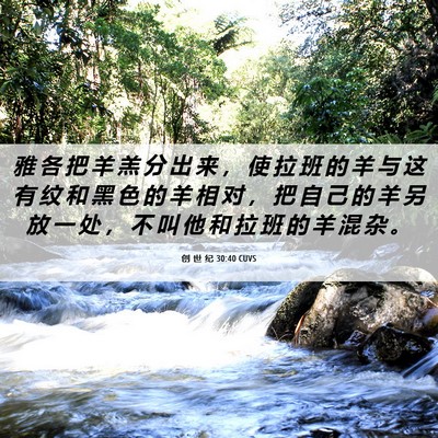 Picture 06 - 创 世 纪 30:40 CUVS - 雅 各 把 羊 羔 分 出 来 ， 使 拉 班 - Bible Verse Picture