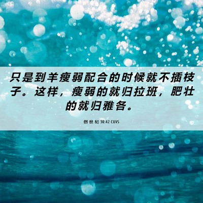 Picture 06 - 创 世 纪 30:42 CUVS - 只 是 到 羊 瘦 弱 配 合 的 时 候 就 - Bible Verse Picture