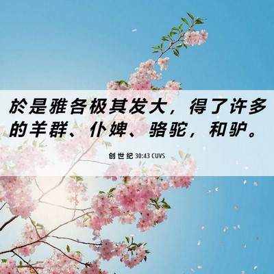 Picture 06 - 创 世 纪 30:43 CUVS - 於 是 雅 各 极 其 发 大 ， 得 了 许 - Bible Verse Picture