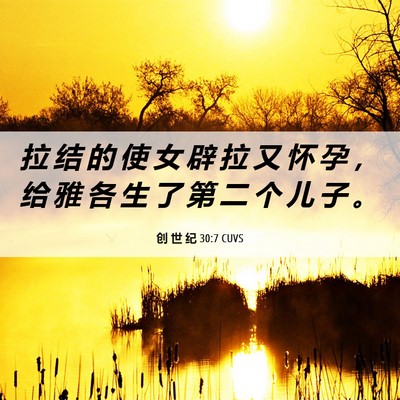 Picture 06 - 创 世 纪 30:7 CUVS - 拉 结 的 使 女 辟 拉 又 怀 孕 ， 给 - Bible Verse Picture
