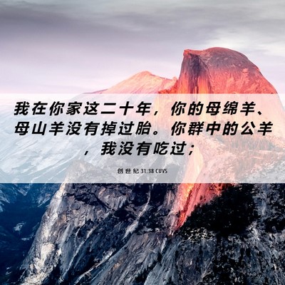 Picture 06 - 创 世 纪 31:38 CUVS - 我 在 你 家 这 二 十 年 ， 你 的 母 - Bible Verse Picture
