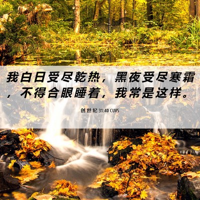 Picture 06 - 创 世 纪 31:40 CUVS - 我 白 日 受 尽 乾 热 ， 黑 夜 受 尽 - Bible Verse Picture