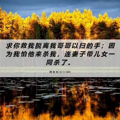 Picture 06 - 创 世 纪 32:11 CUVS - 求 你 救 我 脱 离 我 哥 哥 以 扫 的 - Bible Verse Picture