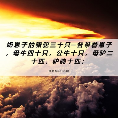 Picture 06 - 创 世 纪 32:15 CUVS - 奶 崽 子 的 骆 驼 三 十 只 ─ 各 带 - Bible Verse Picture