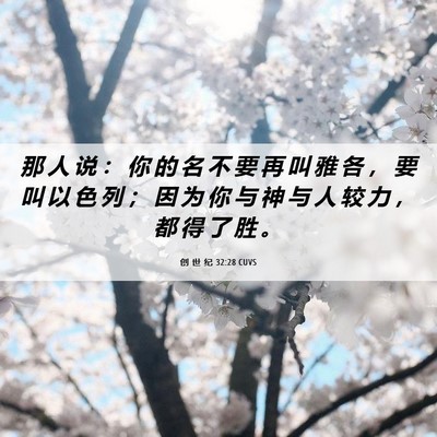 Picture 06 - 创 世 纪 32:28 CUVS - 那 人 说 ： 你 的 名 不 要 再 叫 雅 - Bible Verse Picture