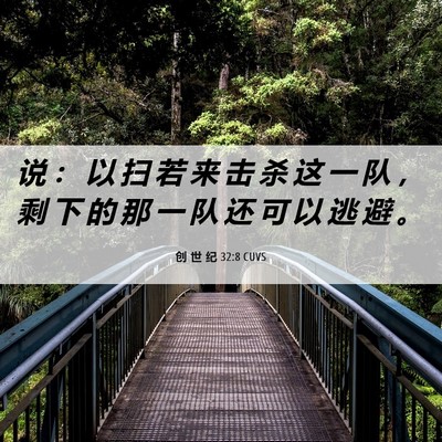 Picture 06 - 创 世 纪 32:8 CUVS - 说 ： 以 扫 若 来 击 杀 这 一 队 ， - Bible Verse Picture
