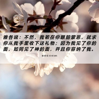 Picture 06 - 创 世 纪 33:10 CUVS - 雅 各 说 ： 不 然 ， 我 若 在 你 眼 - Bible Verse Picture
