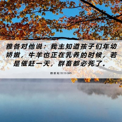 Picture 06 - 创 世 纪 33:13 CUVS - 雅 各 对 他 说 ： 我 主 知 道 孩 子 - Bible Verse Picture