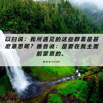 Picture 06 - 创 世 纪 33:8 CUVS - 以 扫 说 ： 我 所 遇 见 的 这 些 群 - Bible Verse Picture
