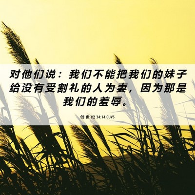 Picture 06 - 创 世 纪 34:14 CUVS - 对 他 们 说 ： 我 们 不 能 把 我 们 - Bible Verse Picture