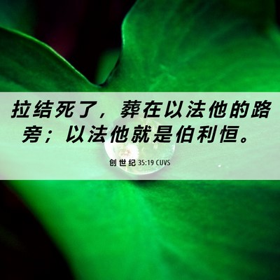 Picture 06 - 创 世 纪 35:19 CUVS - 拉 结 死 了 ， 葬 在 以 法 他 的 路 - Bible Verse Picture