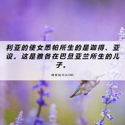Picture 06 - 创 世 纪 35:26 CUVS - 利 亚 的 使 女 悉 帕 所 生 的 是 迦 - Bible Verse Picture