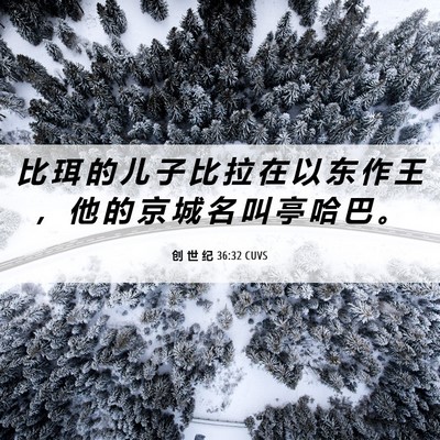 Picture 06 - 创 世 纪 36:32 CUVS - 比 珥 的 儿 子 比 拉 在 以 东 作 王 - Bible Verse Picture