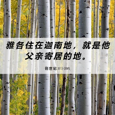 Picture 06 - 创 世 纪 37:1 CUVS - 雅 各 住 在 迦 南 地 ， 就 是 他 父 - Bible Verse Picture
