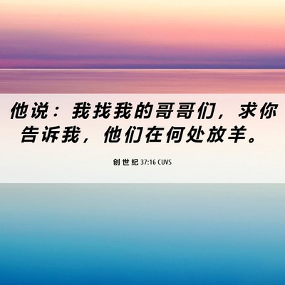 Picture 06 - 创 世 纪 37:16 CUVS - 他 说 ： 我 找 我 的 哥 哥 们 ， 求 - Bible Verse Picture