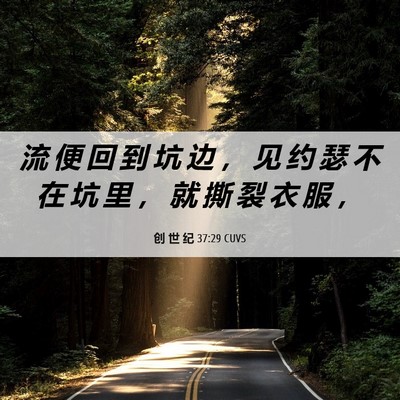 Picture 06 - 创 世 纪 37:29 CUVS - 流 便 回 到 坑 边 ， 见 约 瑟 不 在 - Bible Verse Picture