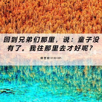 Picture 06 - 创 世 纪 37:30 CUVS - 回 到 兄 弟 们 那 里 ， 说 ： 童 子 - Bible Verse Picture