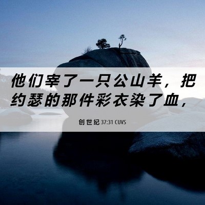 Picture 06 - 创 世 纪 37:31 CUVS - 他 们 宰 了 一 只 公 山 羊 ， 把 约 - Bible Verse Picture