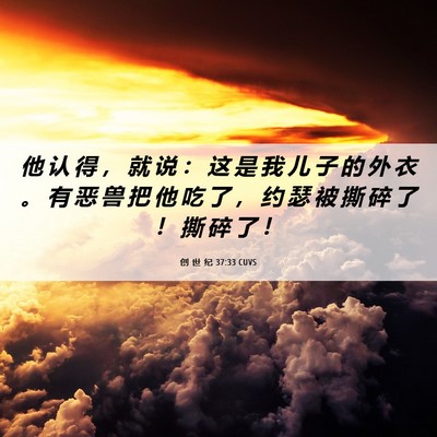 Picture 06 - 创 世 纪 37:33 CUVS - 他 认 得 ， 就 说 ： 这 是 我 儿 子 - Bible Verse Picture