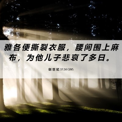 Picture 06 - 创 世 纪 37:34 CUVS - 雅 各 便 撕 裂 衣 服 ， 腰 间 围 上 - Bible Verse Picture