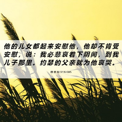 Picture 06 - 创 世 纪 37:35 CUVS - 他 的 儿 女 都 起 来 安 慰 他 ， 他 - Bible Verse Picture