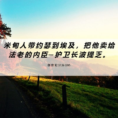 Picture 06 - 创 世 纪 37:36 CUVS - 米 甸 人 带 约 瑟 到 埃 及 ， 把 他 - Bible Verse Picture