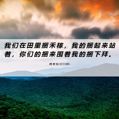 Picture 06 - 创 世 纪 37:7 CUVS - 我 们 在 田 里 捆 禾 稼 ， 我 的 捆 - Bible Verse Picture