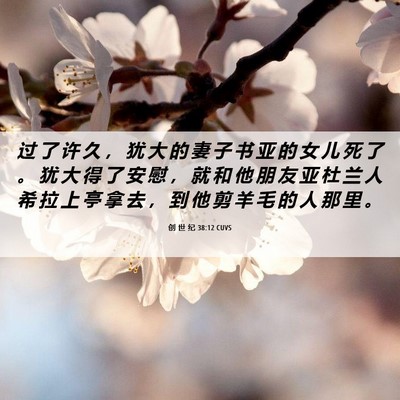 Picture 06 - 创 世 纪 38:12 CUVS - 过 了 许 久 ， 犹 大 的 妻 子 书 亚 - Bible Verse Picture