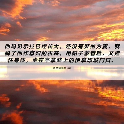 Picture 06 - 创 世 纪 38:14 CUVS - 他 玛 见 示 拉 已 经 长 大 ， 还 没 - Bible Verse Picture