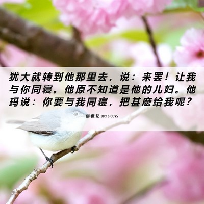 Picture 06 - 创 世 纪 38:16 CUVS - 犹 大 就 转 到 他 那 里 去 ， 说 ： - Bible Verse Picture