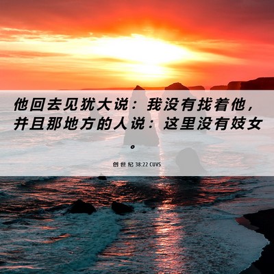 Picture 06 - 创 世 纪 38:22 CUVS - 他 回 去 见 犹 大 说 ： 我 没 有 找 - Bible Verse Picture