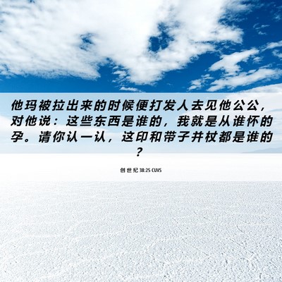 Picture 06 - 创 世 纪 38:25 CUVS - 他 玛 被 拉 出 来 的 时 候 便 打 发 - Bible Verse Picture